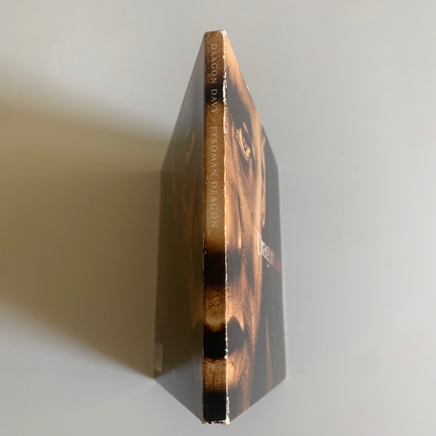 Dragon Davy - Pyroman Dragon - 2011 Occasion