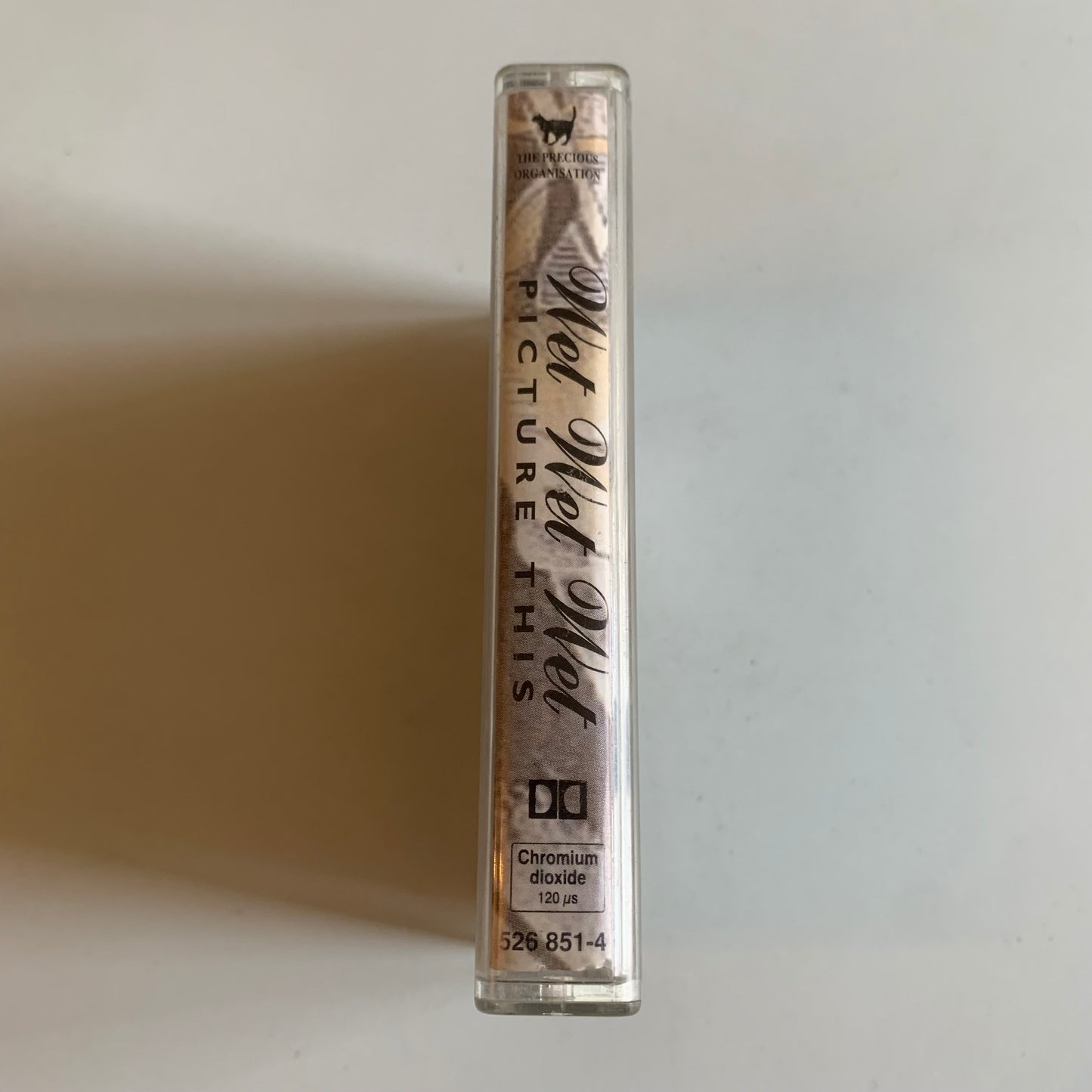 Wet Wet Wet - Picture This - 1995 Occasion