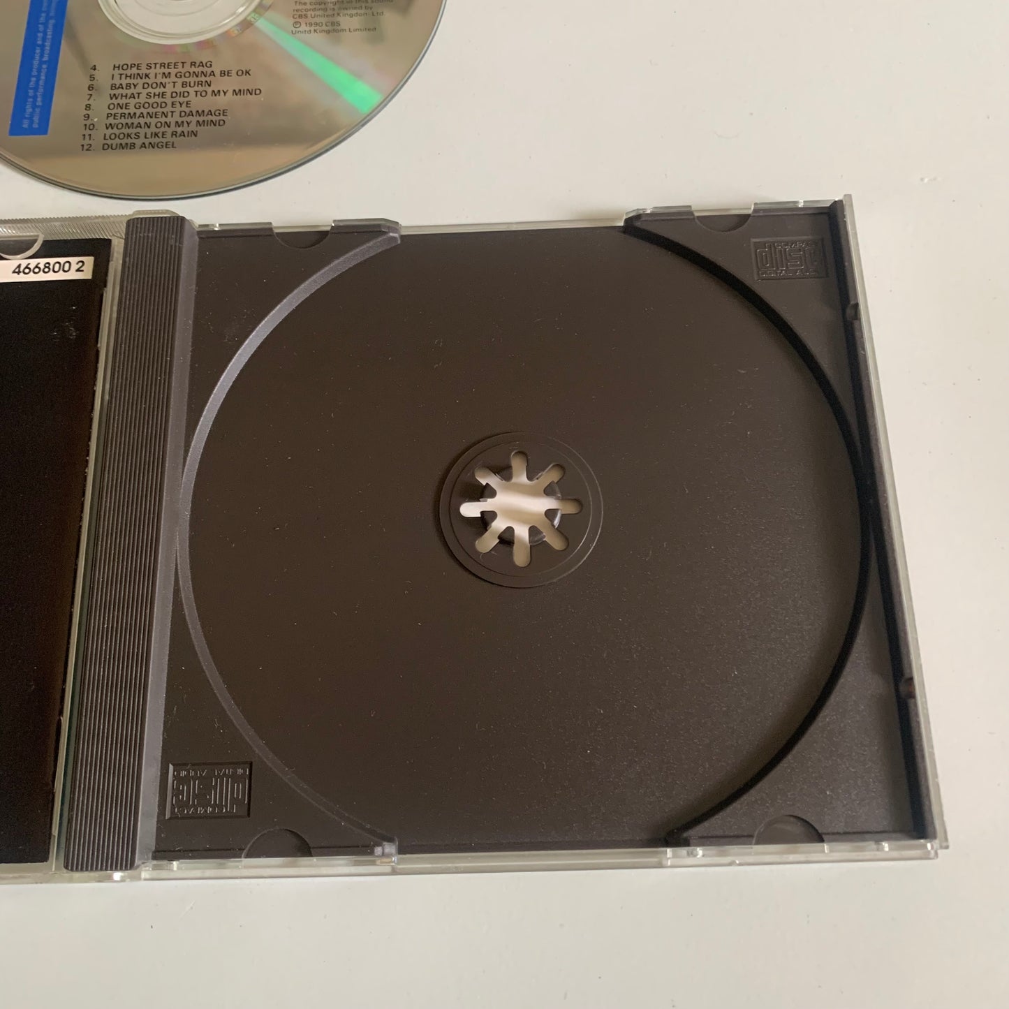 CD - The Icicle Works - Permanent Damage - 1990 Occasion