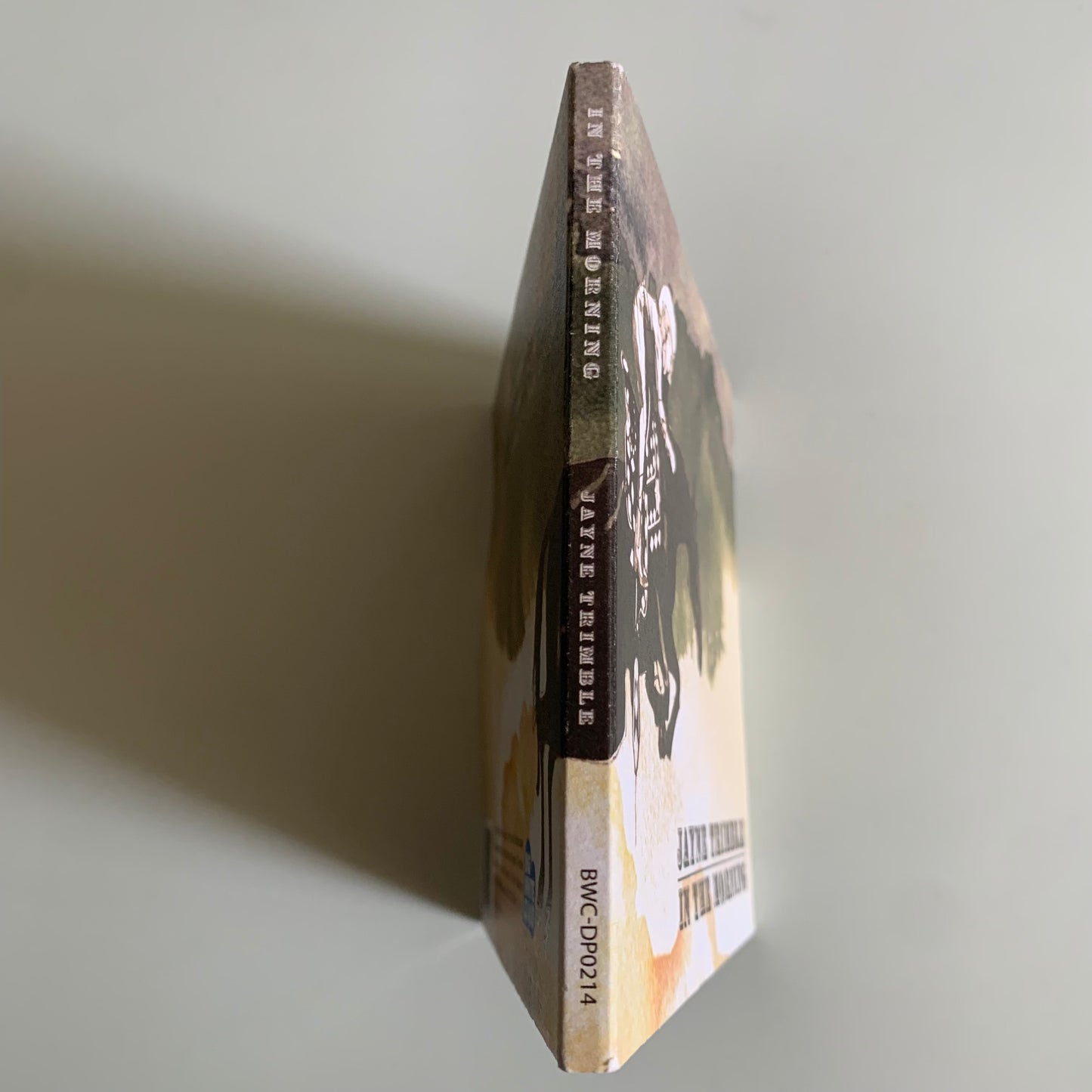 CD - Jayne Trimble - In The Morning - 2014 Occasion