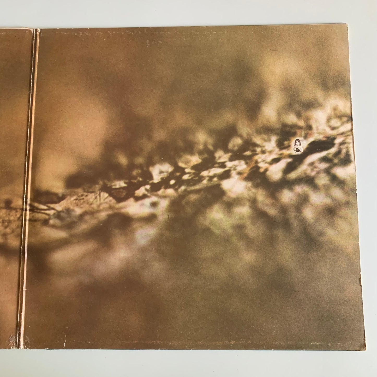 Tangerine Dream - Rubycon - LP 1975 Occasion