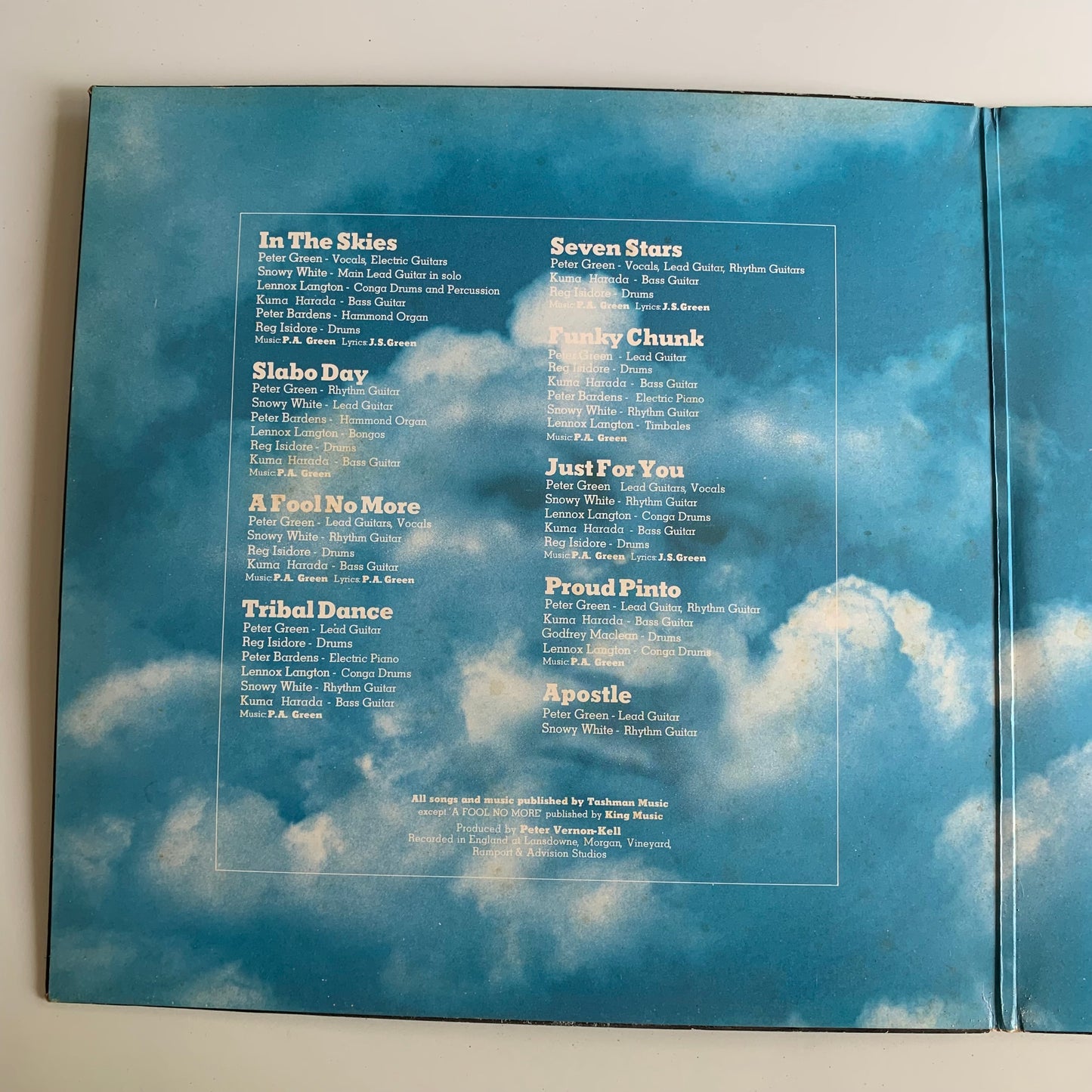 Peter Green - In The Skies - LP 1979 Occasion