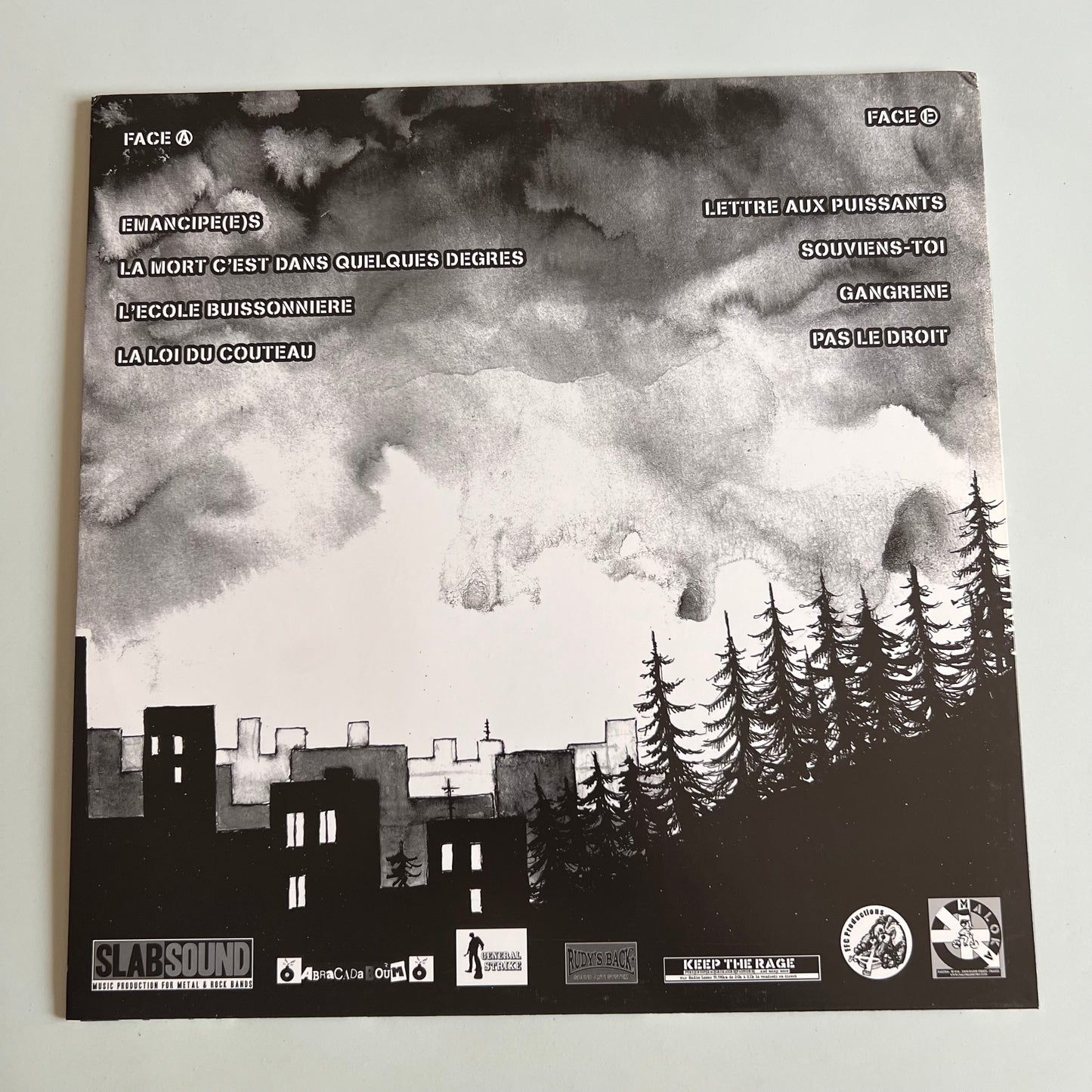 Mauvaise Graine - (R)evolution - LP 2015
