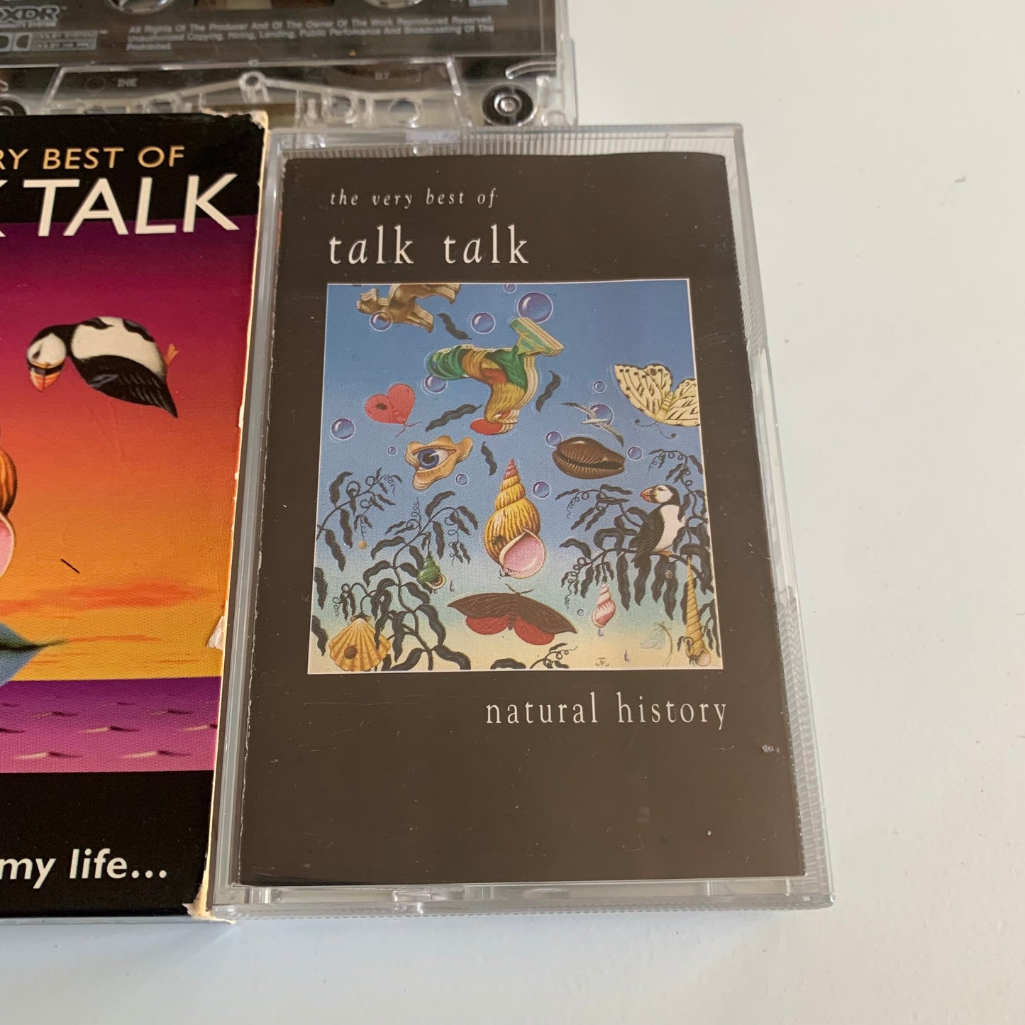Talk Talk - Natural History (The Very Best Of Talk Talk) - 1994 Occasion