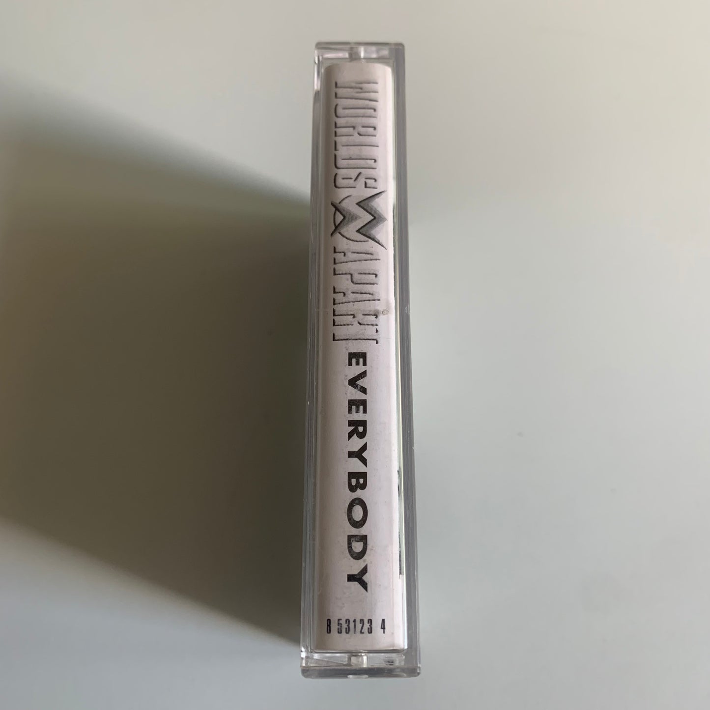 Worlds Apart - Everybody - 1996 Occasion