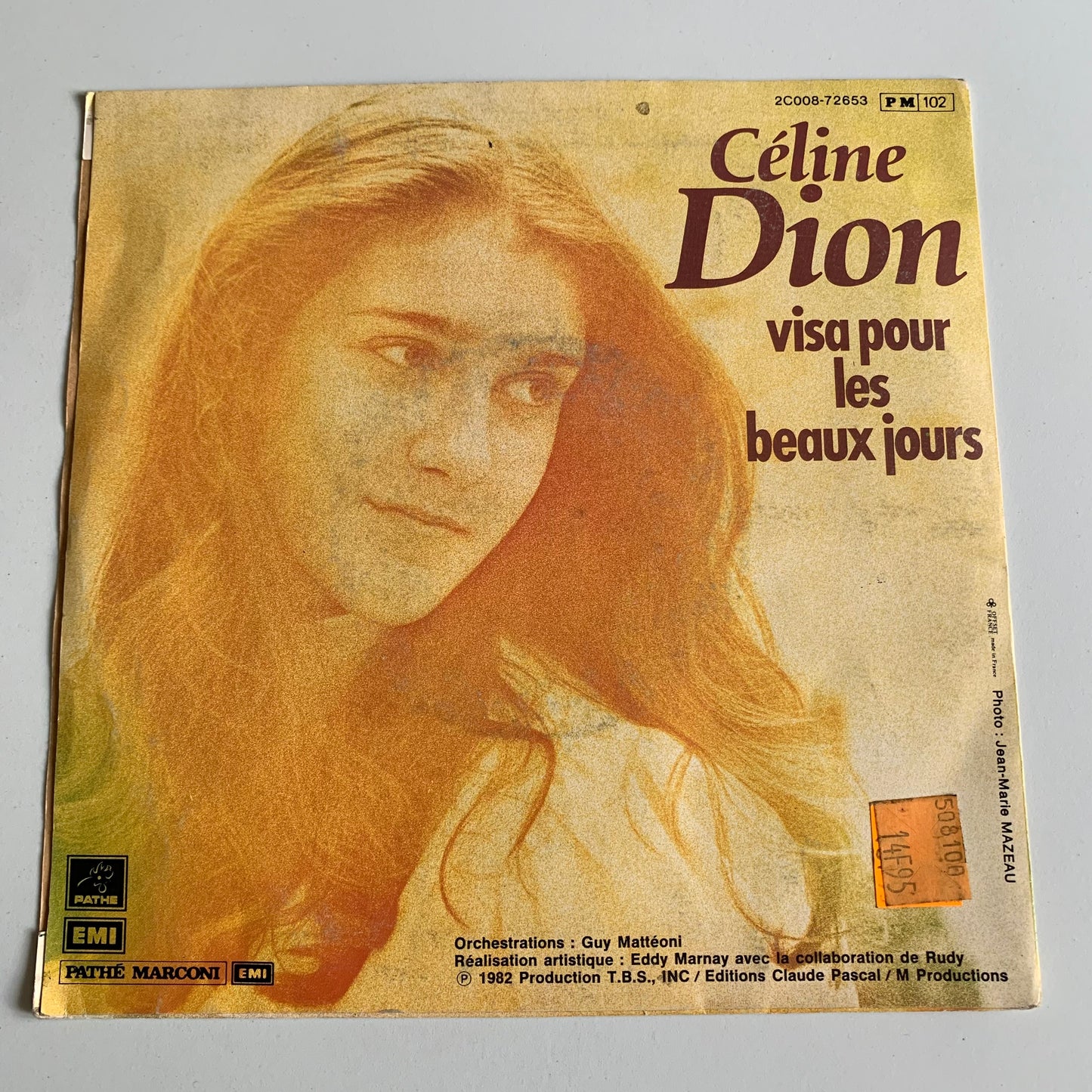 Céline Dion - D'amour Ou D'amitié - 1982 Occasion