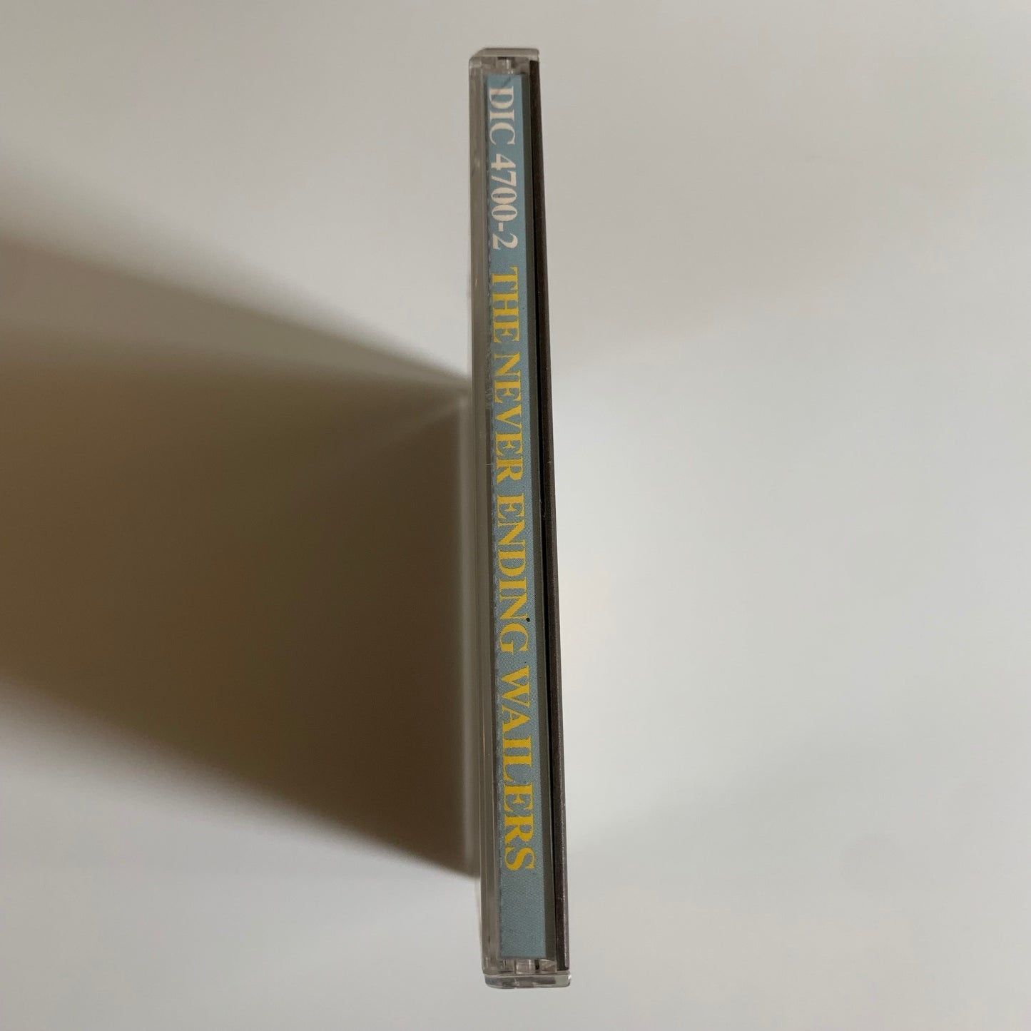 The Never Ending Wailers - The Never Ending Wailers - 1993 Occasion