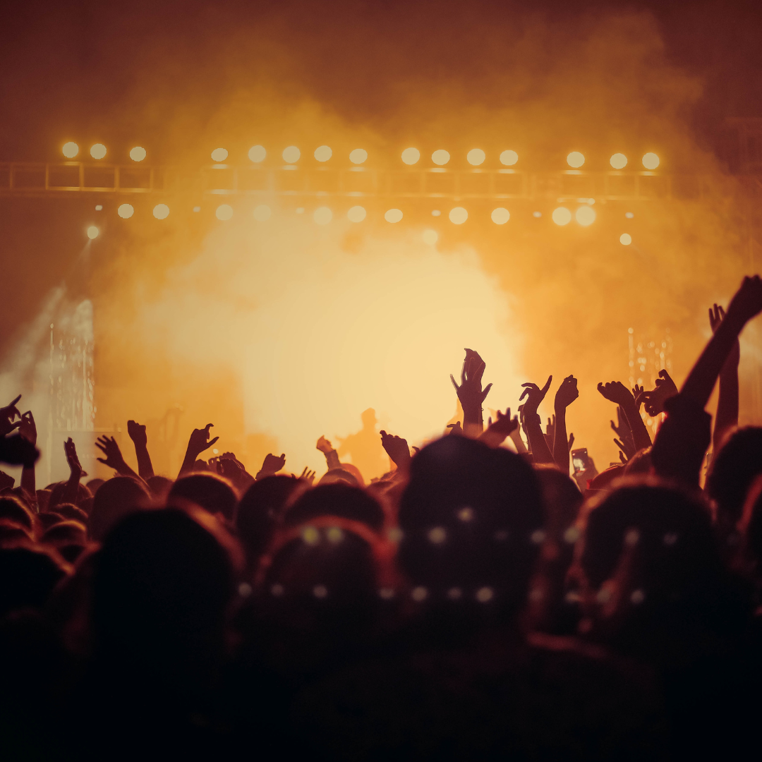 DVD Concerts / Doc / Clips
