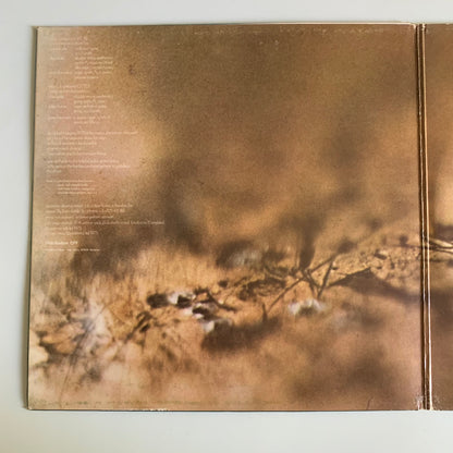 Tangerine Dream - Rubycon - LP 1975 Occasion