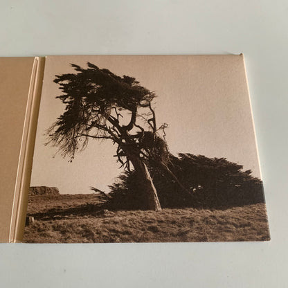 CD - Morley - Seen - 2008 Occasion