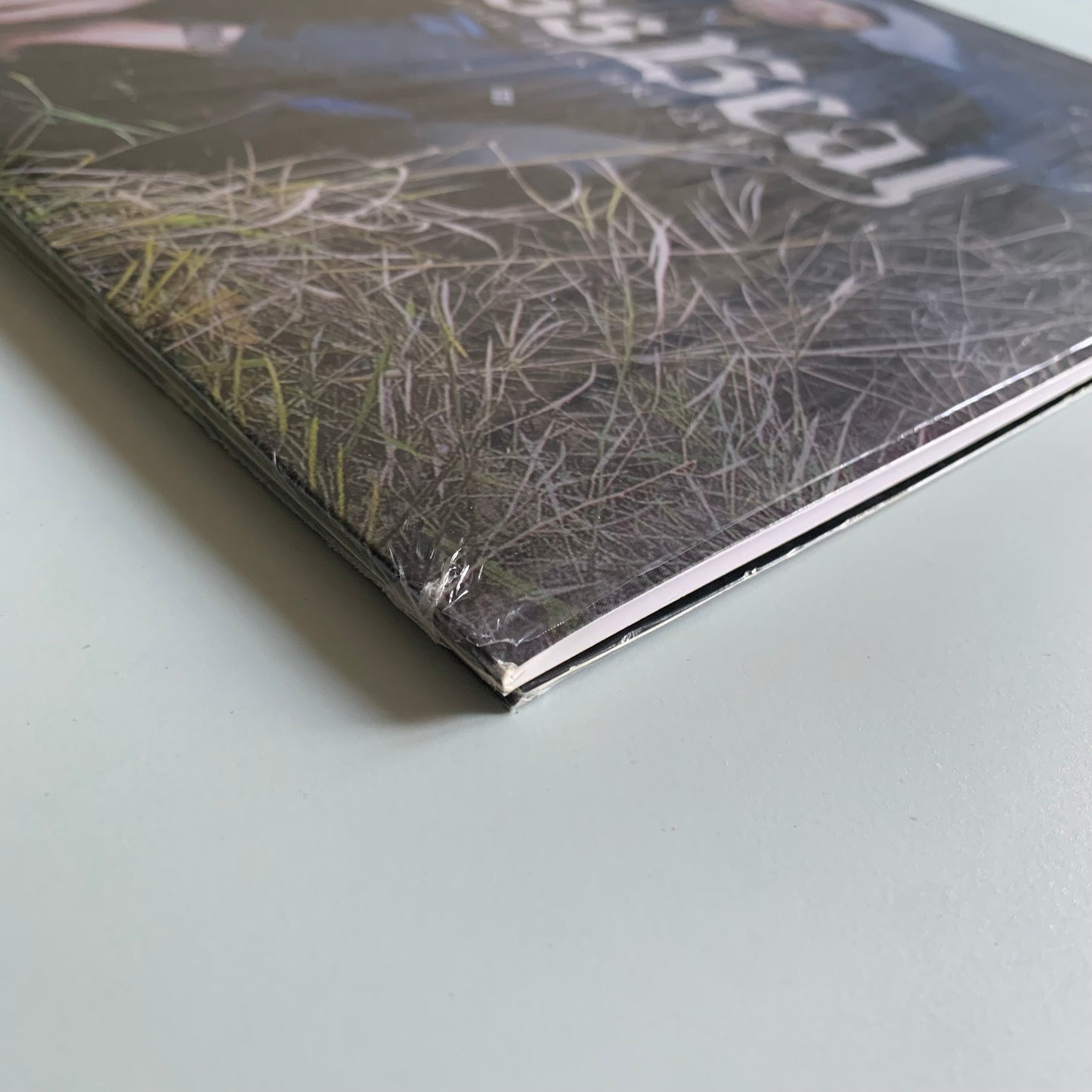 Nessbeal - La Mélodie Des Briques - Double LP 2020 - Occasion