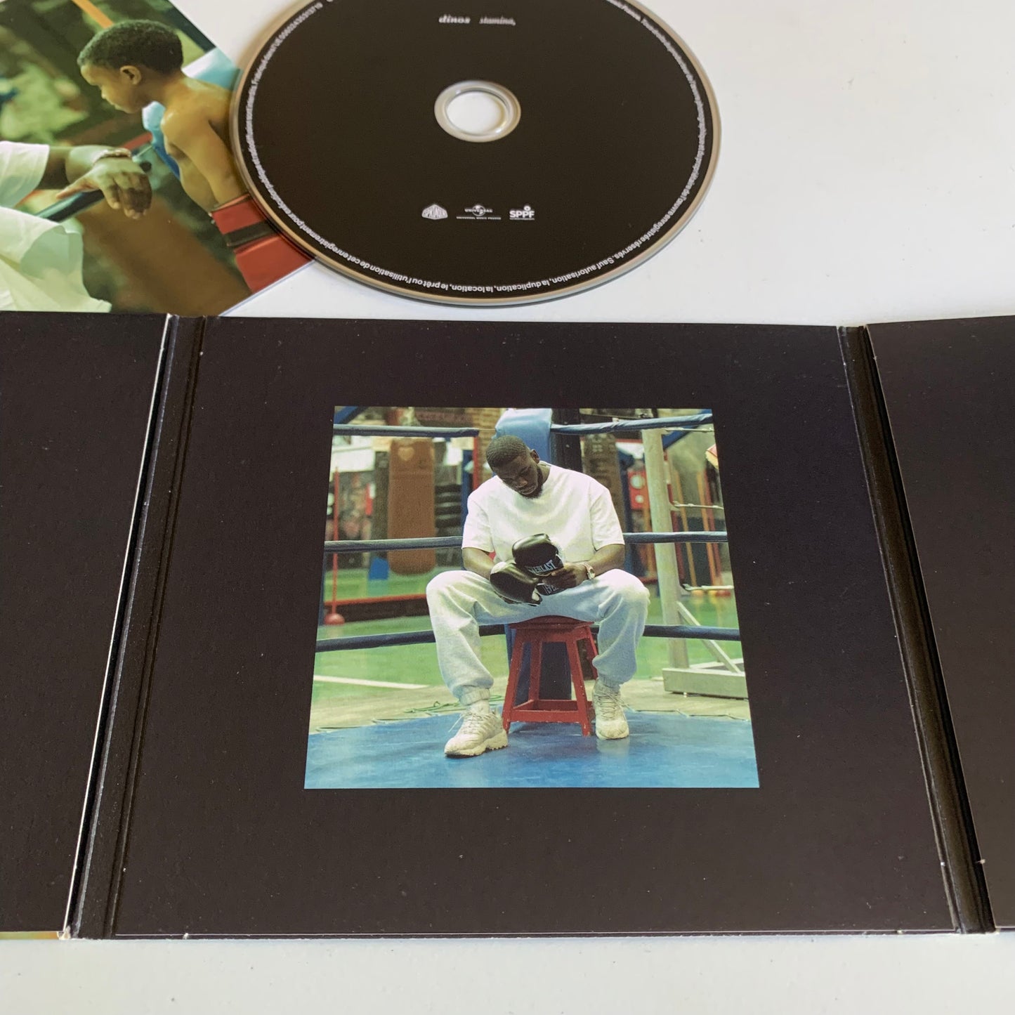 Dinos - Stamina, - 2020 Occasion