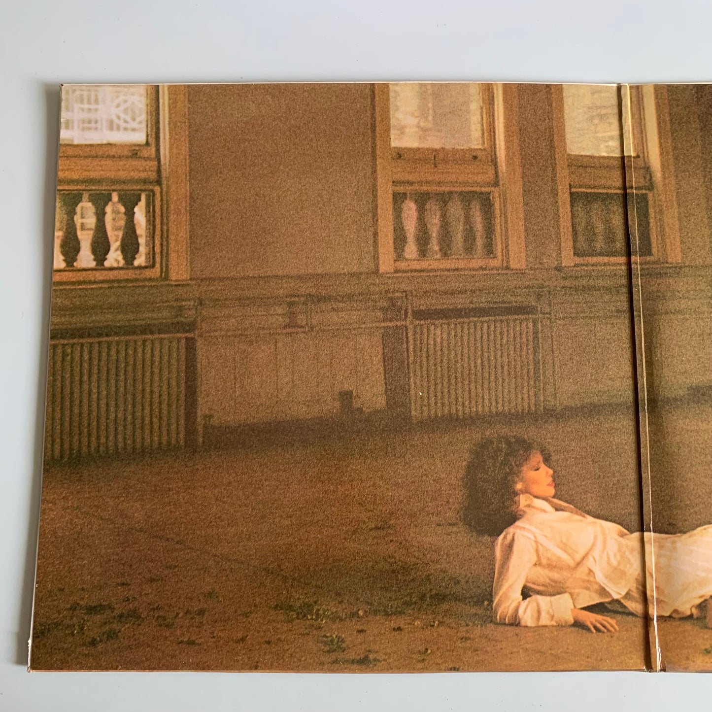Carly Simon - Boys In The Trees - LP 1978 Occasion