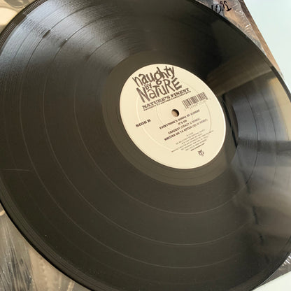 Naughty By Nature - Nature's Finest (Naughty By Nature's Greatest Hits) - Double LP 1999