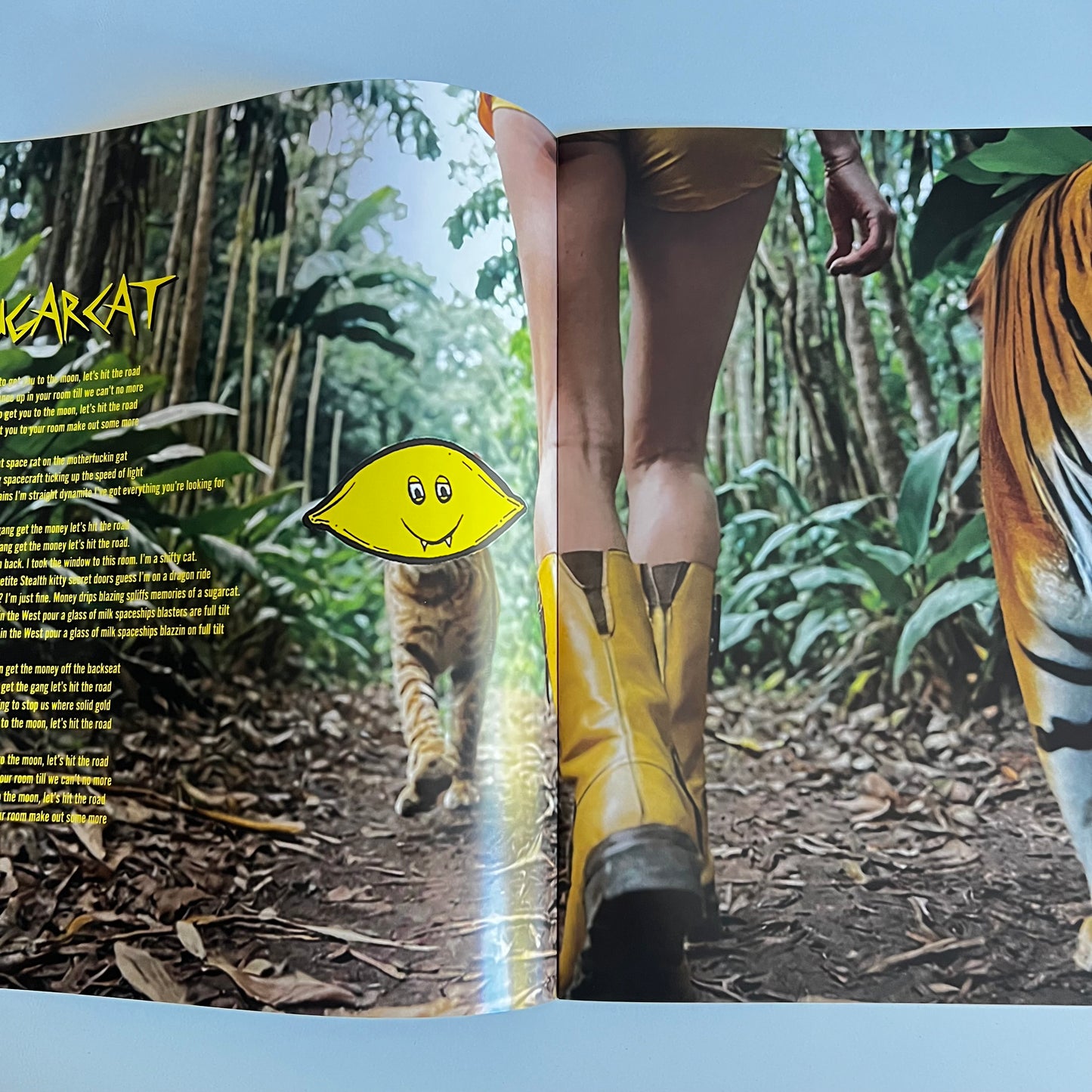 Dope Lemon - Golden Wolf - LP Zoetrope 2025 Limited Edition