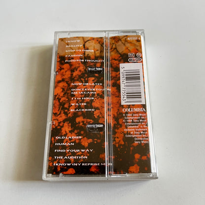 Dionne Farris - Wild Seed - Wild Flower - 1994