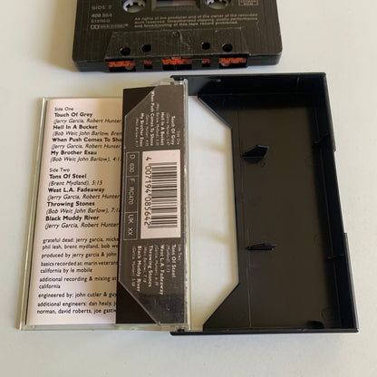 Grateful Dead - In The Dark - 1987 Occasion