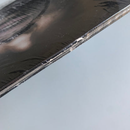 Nessbeal - Rois Sans Couronne - Double LP 2020 - Occasion