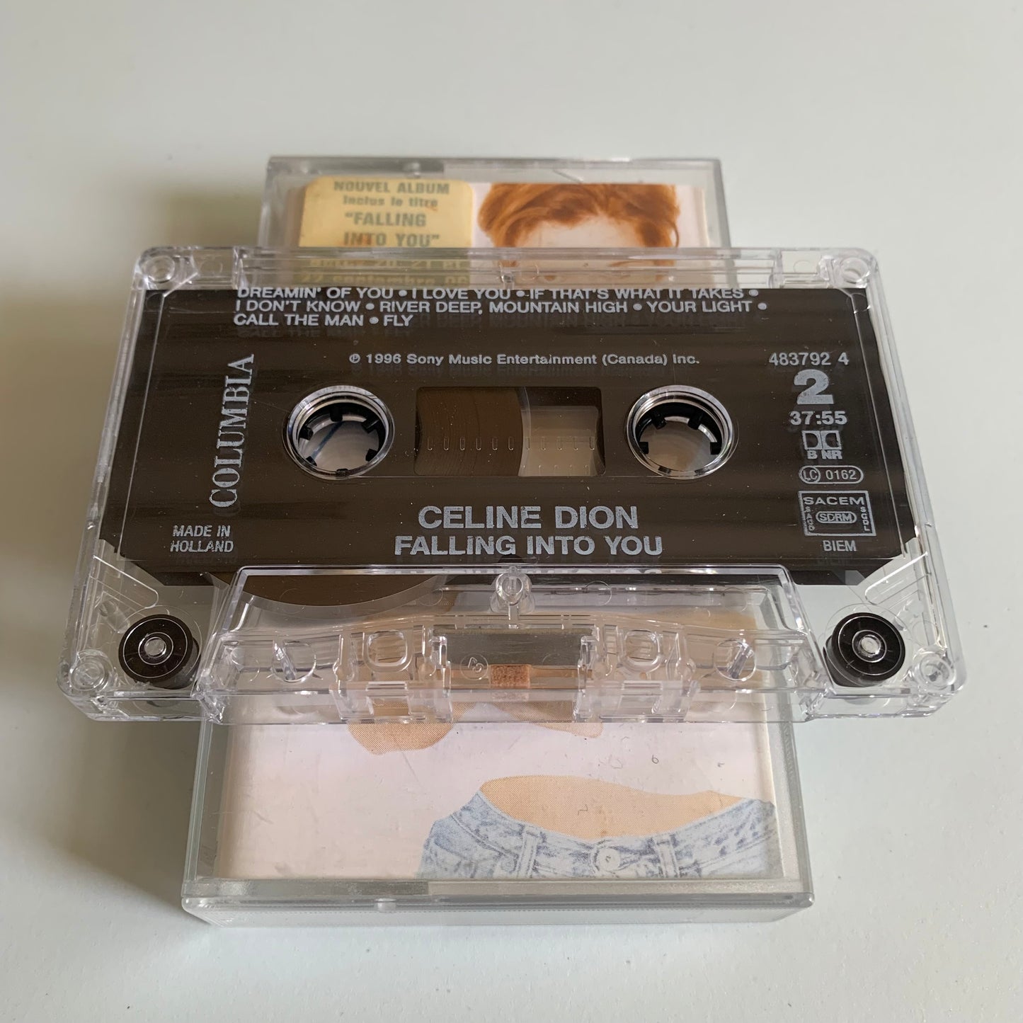 Céline Dion - Falling Into You - 1996 Occasion