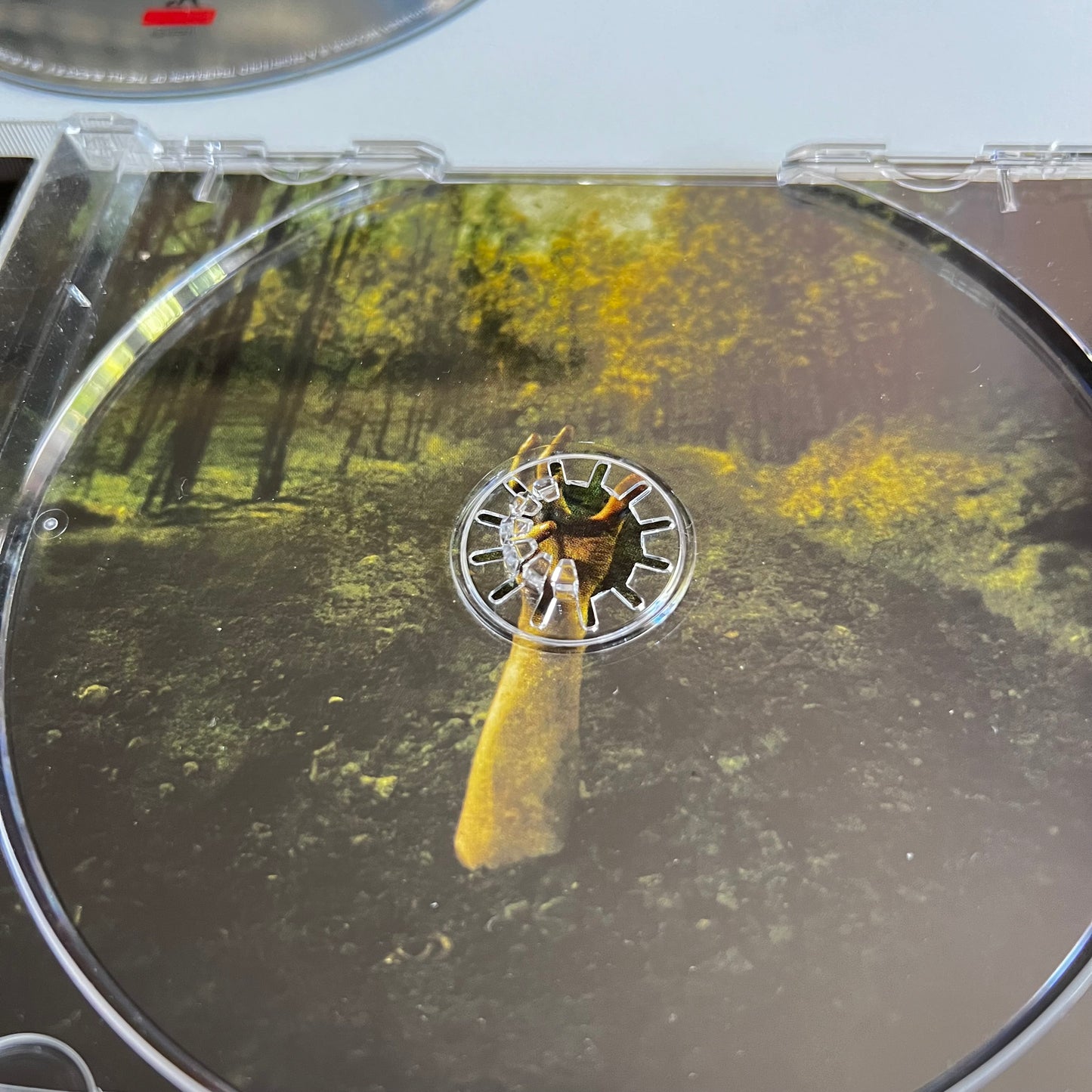 CD - Betzefer - Down Low - 2005