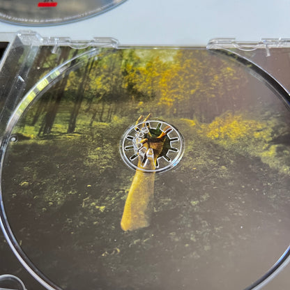 CD - Betzefer - Down Low - 2005
