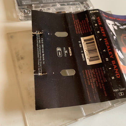 The Jeff Healey Band - Feel This - 1992