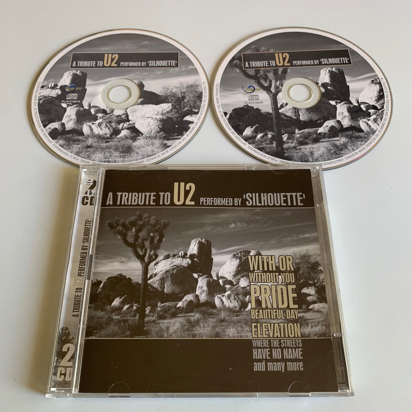 Silhouette - A Tribute To U2 - 2009 Occasion