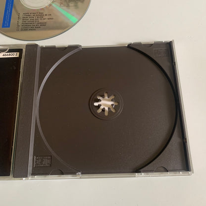 CD - The Icicle Works - Permanent Damage - 1990 Occasion