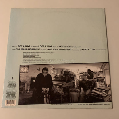 Vinyle - Pete Rock & C.L. Smooth - I Got A Love - Single 1994