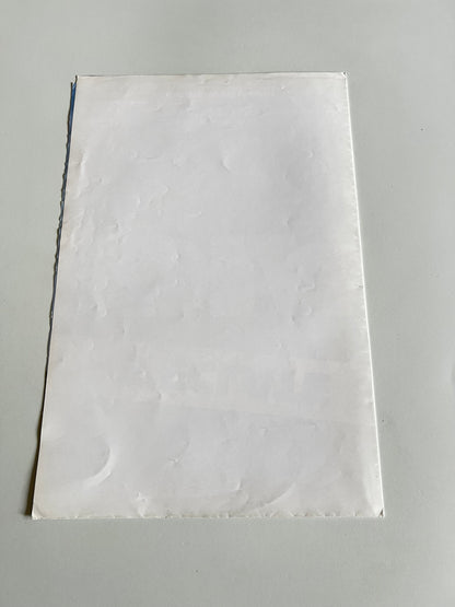 Affiche Poster Original Diam’s S’Eclate En Concert 2009 - 60x40cm