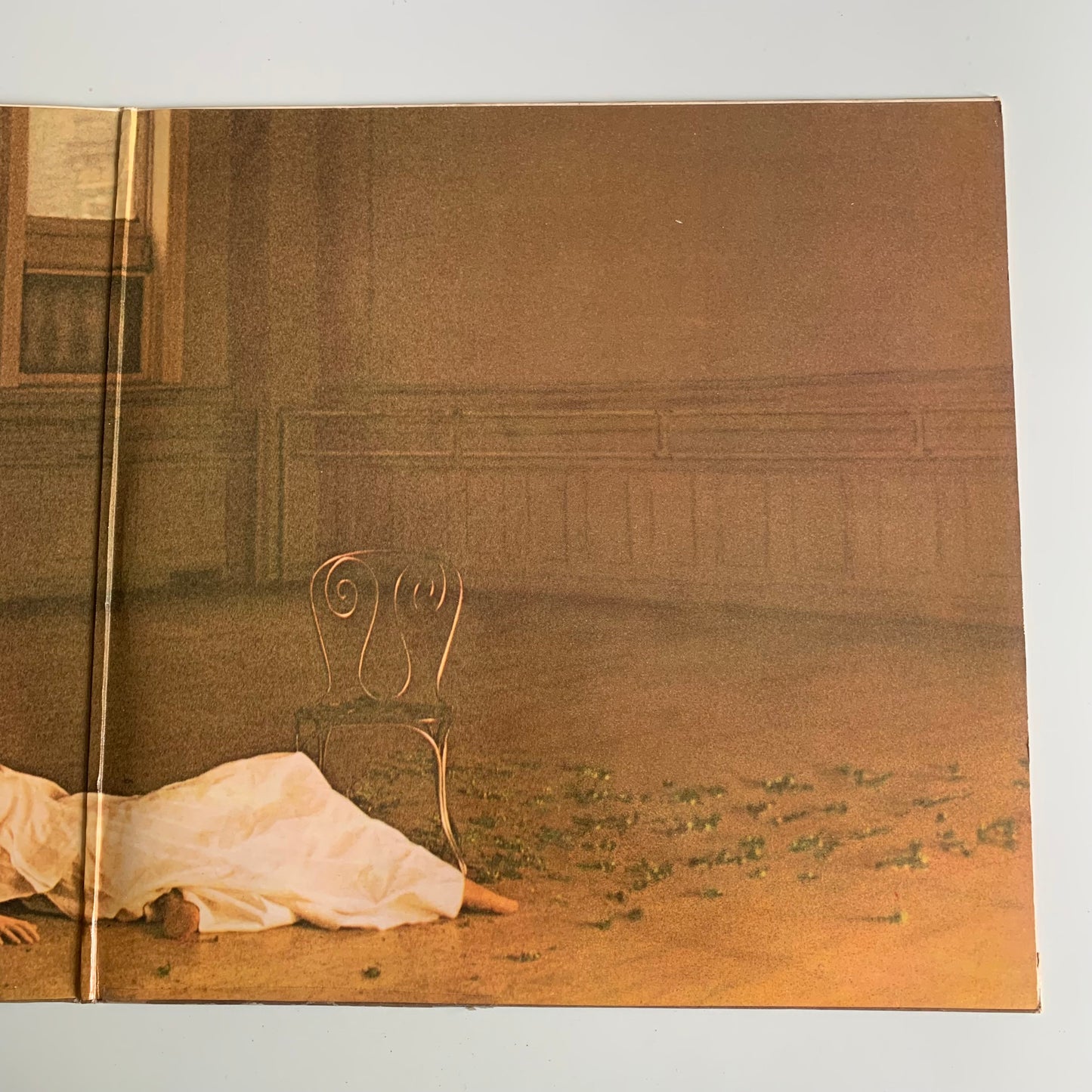 Carly Simon - Boys In The Trees - LP 1978 Occasion