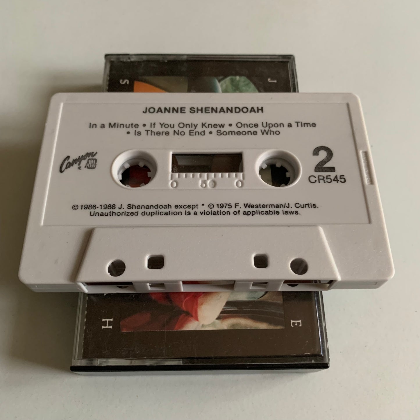 Joanne Shenandoah - 1994 Occasion