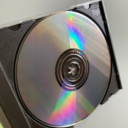 The Never Ending Wailers - The Never Ending Wailers - 1993 Occasion