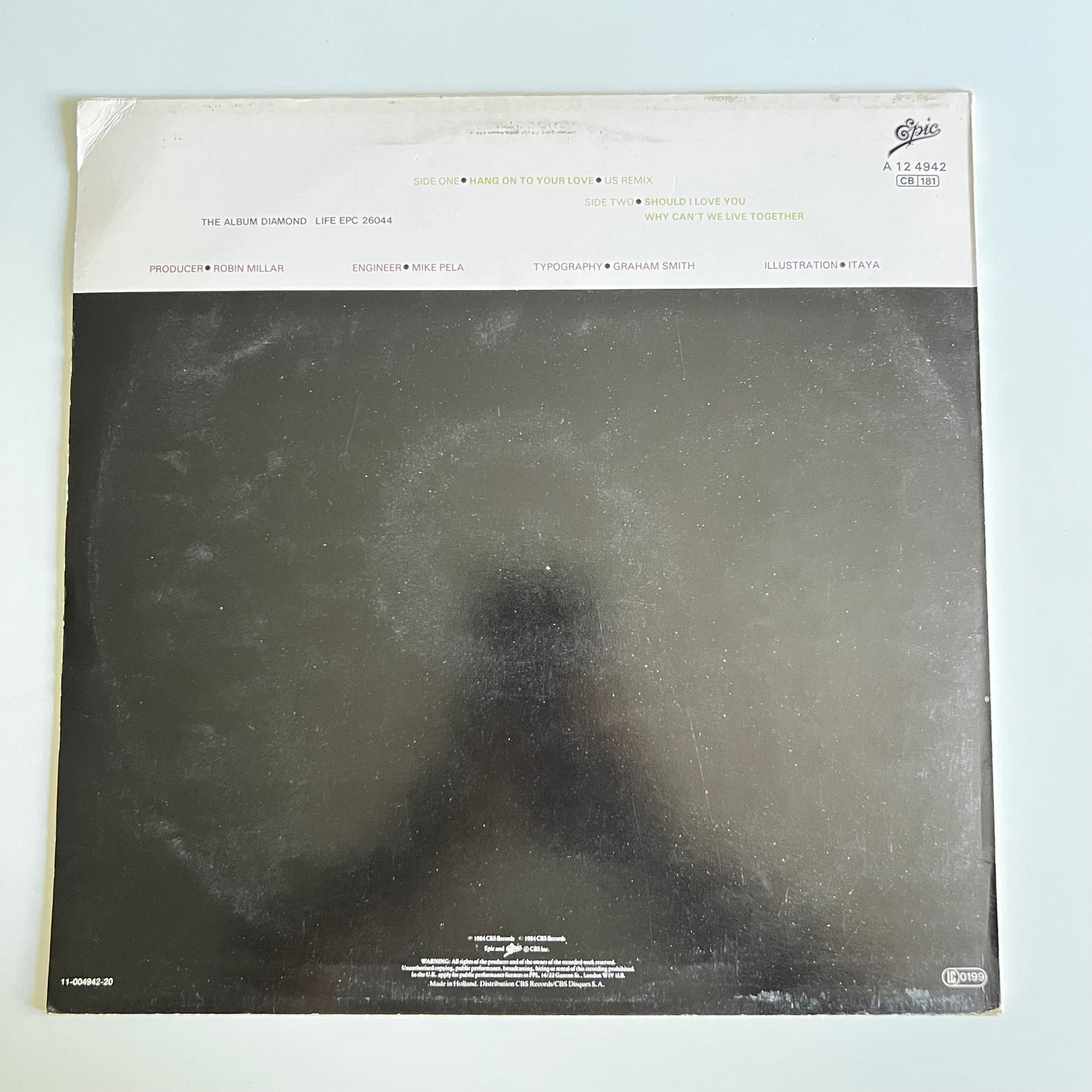 Sade - Hang On To Your Love (US Remix) - Maxi Single 1984