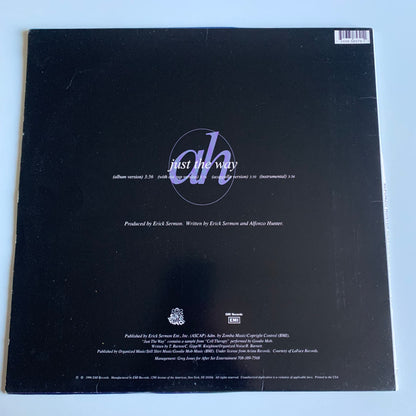 Alfonzo Hunter - Just The Way - Single 1996