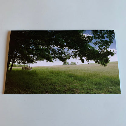 Zazie - Za7ie - 49/49 - Box Set 7 CD - 2010 Occasion