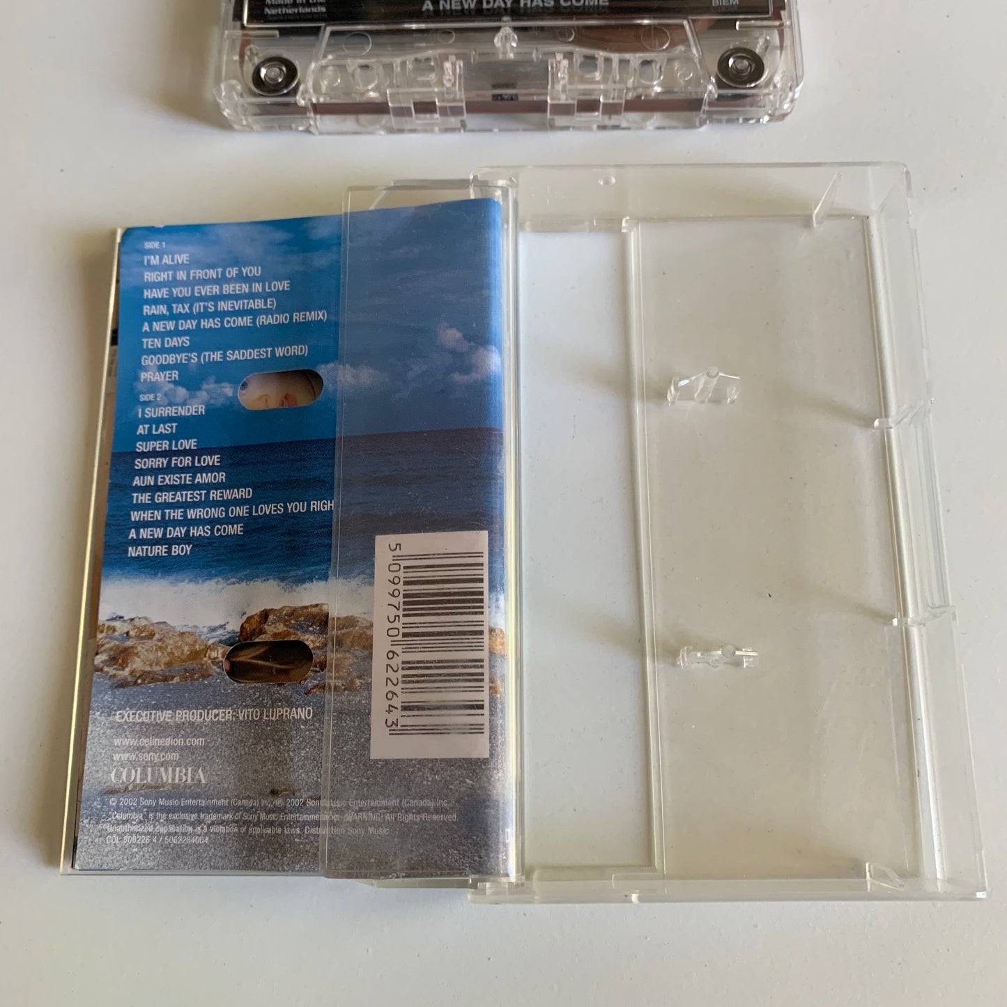 Celine Dion - A New Day Has Come - 2002 Occasion