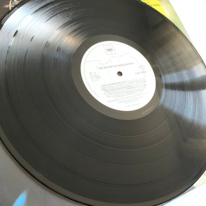 Paul Young - The Secret Of Association - LP 1985 Occasion