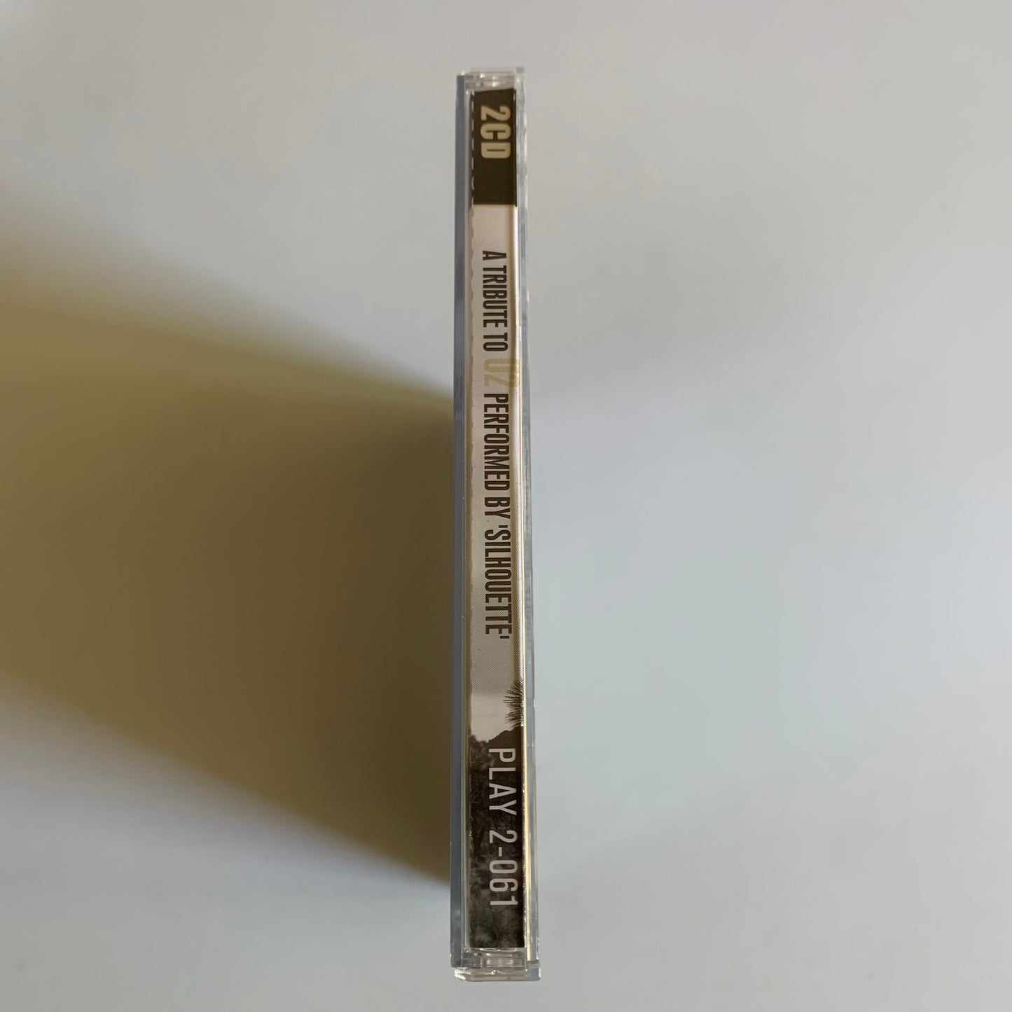 Silhouette - A Tribute To U2 - 2009 Occasion