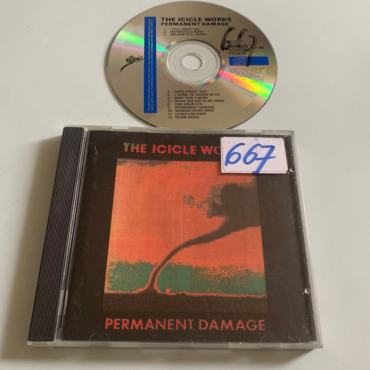 CD - The Icicle Works - Permanent Damage - 1990 Occasion