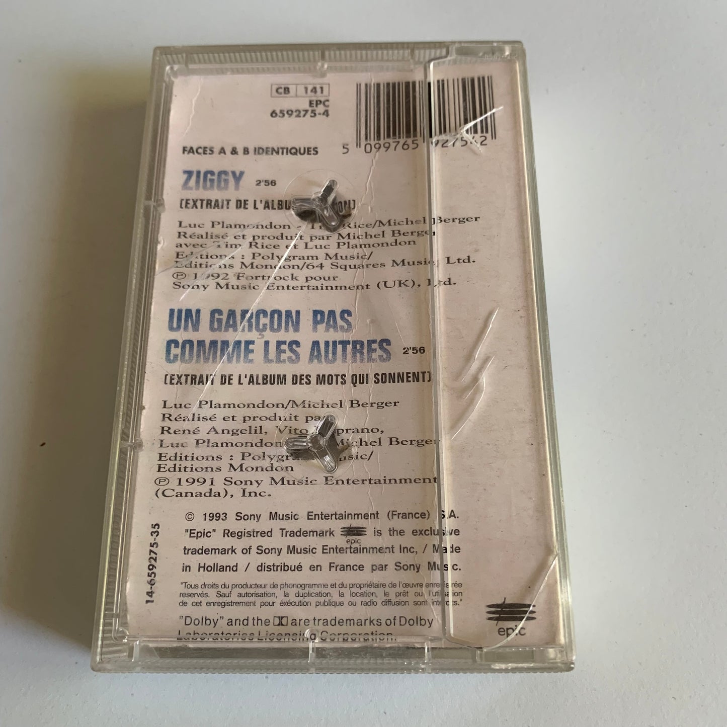 Céline Dion - Ziggy - 1993 Occasion