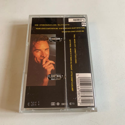 Don Johnson - Let It Roll - 1989