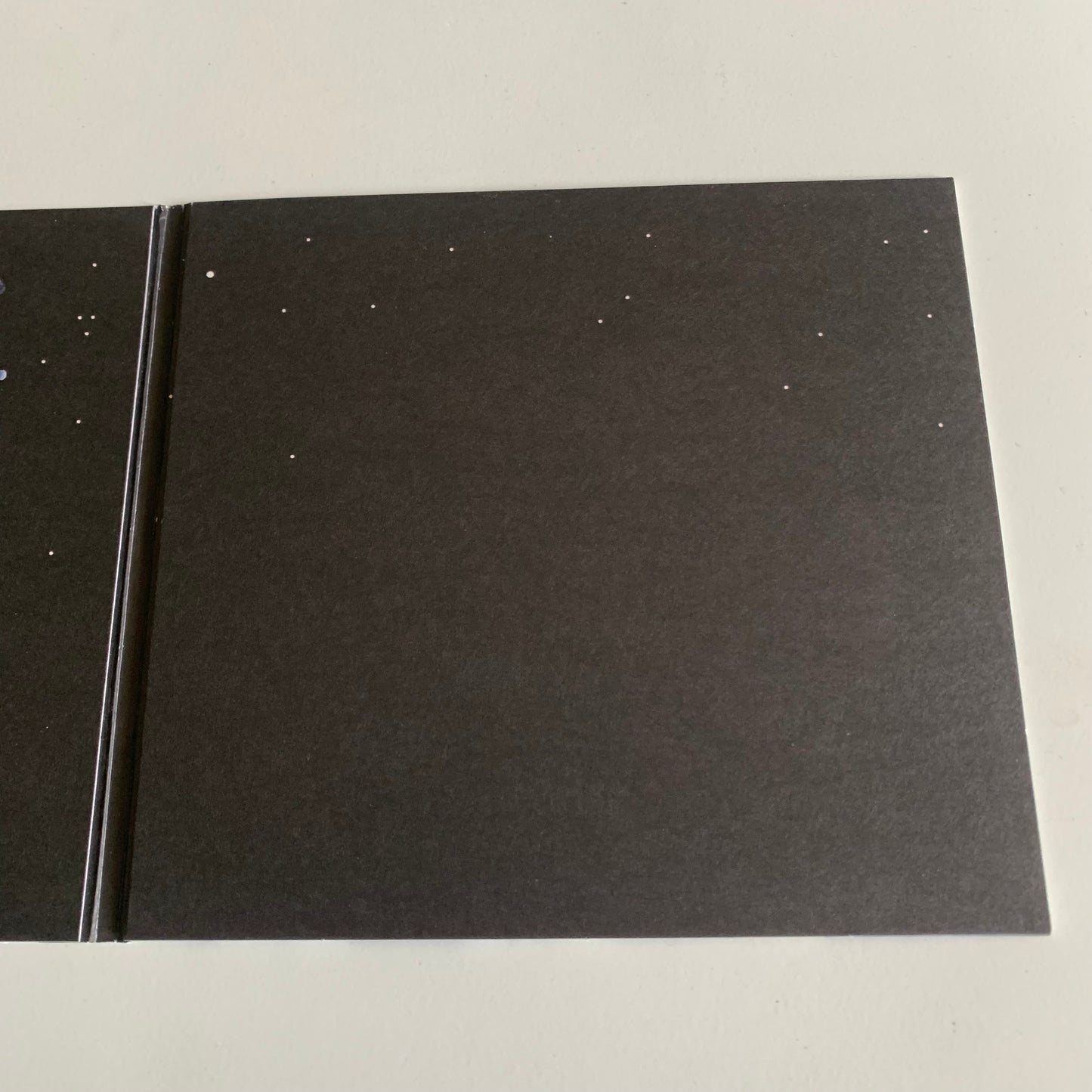 CD - Yodelice - Tree Of Life - 2009 Occasion