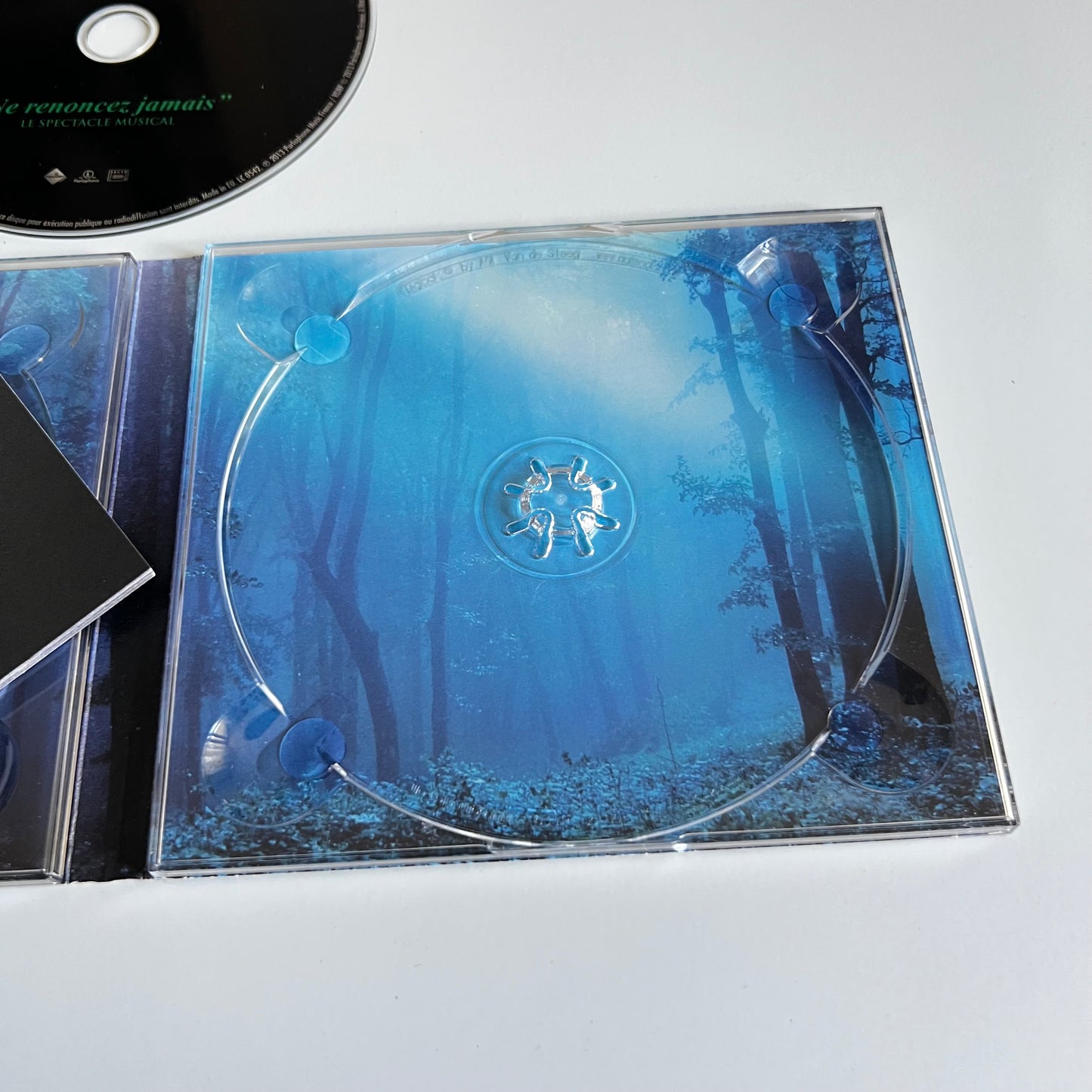CD - Robin Des Bois - Le Spectacle Musical: Ne Renoncez Jamais - 2013