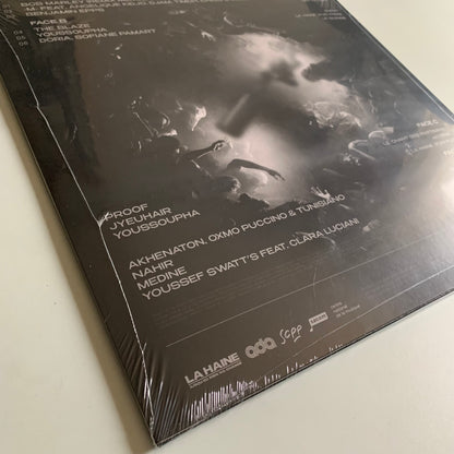 Vinyle - La Haine - Jusqu’ici Rien N’A Changé - Double LP 2024