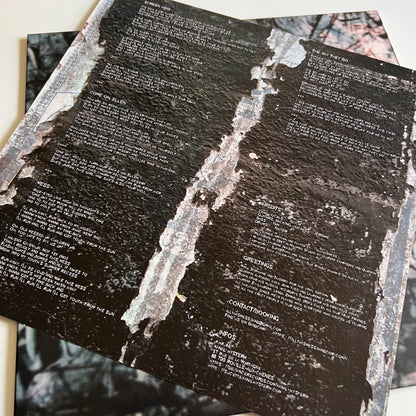 All This Mess - ATM - LP 2019