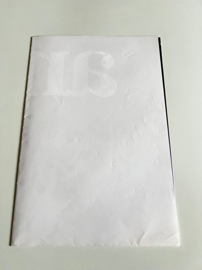 Affiche Poster Original Concert Anaïs The Love Album 2009 - 60x40cm