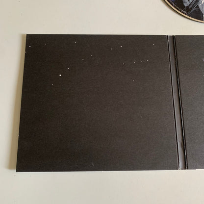 CD - Yodelice - Tree Of Life - 2009 Occasion