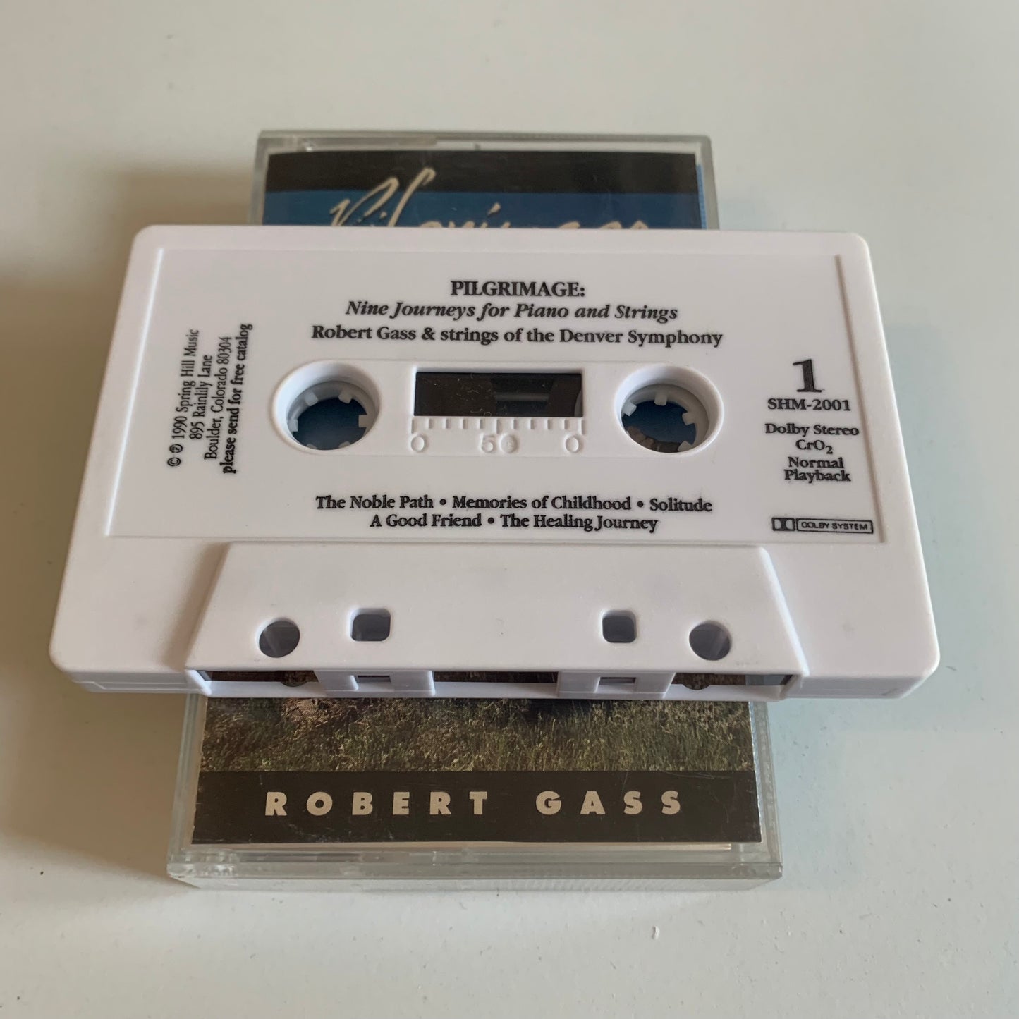 Robert Gass - Pilgrimage - For Piano And Strings - 1990 Occasion
