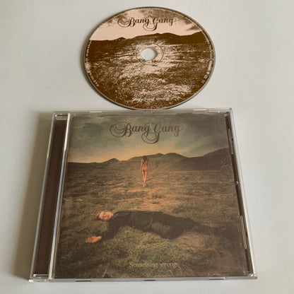 CD - Bang Gang - Something Wrong - 2003 Occasion